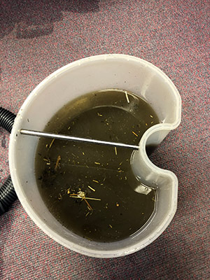 Professionele tapijtreiniging